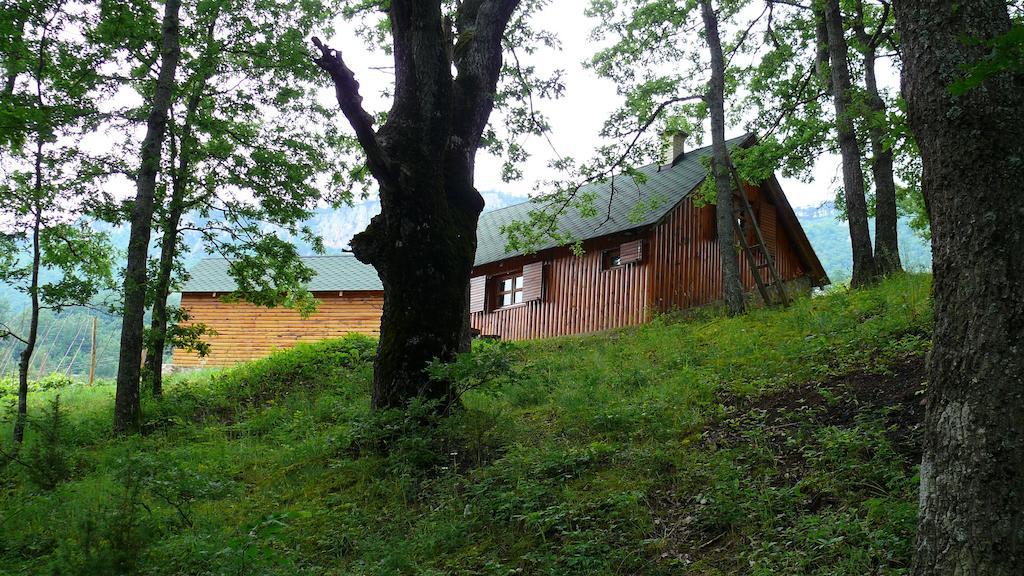 Guest House Tara Canyon Πλιέβλια Εξωτερικό φωτογραφία