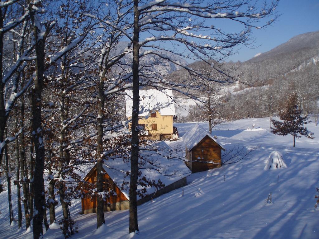 Guest House Tara Canyon Πλιέβλια Εξωτερικό φωτογραφία